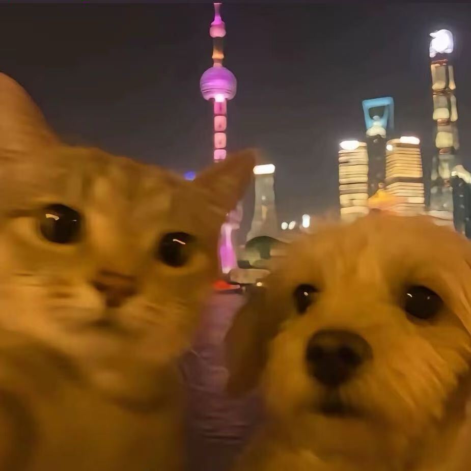 队伍